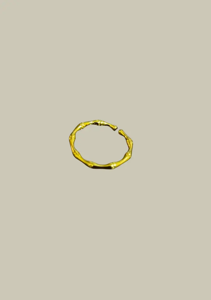 Anillo Principe Dorado