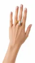 Anillo Marce